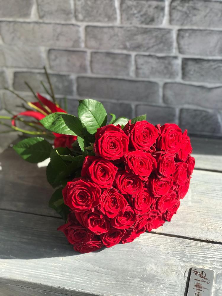 Букет Красные розы Фридом в Шабурново
