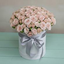 Цветочная композиция из Розы в шляпной коробке #REPLACE_PRED# Шабурново