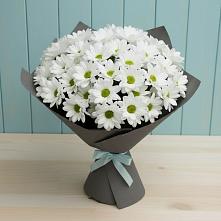 Букет цветов из:  Хризантемы в Шабурново