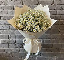 Букет цветов из:  Ромашки в Шабурново
