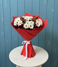 Букет цветов из:  Хризантемы #REPLACE_PRED# Шабурново