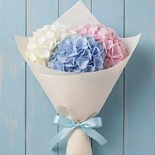 Букет цветов из:  Гортензия в Шабурново