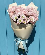 Букет цветов из:  Хризантемы #REPLACE_PRED# Шабурново