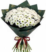 Букет цветов из:  Хризантемы #REPLACE_PRED# Шабурново