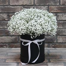Цветочная композиция из Гипсофила в шляпной коробке в Шабурново