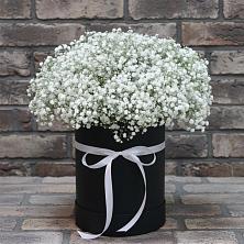 Цветочная композиция из Гипсофила в шляпной коробке в Шабурново