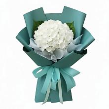 Букет цветов из:  Гортензия в Шабурново